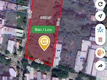 Hình ảnh Cho thuê 5.500m2 đất Vườn Lài ,Q12 - 120Tr/ tháng