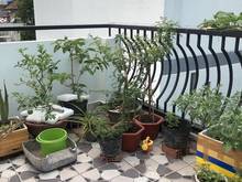 Hình ảnh Nhà ngay đại học Văn Lang, chỉ 4.1 tỷ, cách hẻm ô tô 20m