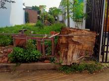 Hình ảnh Bán Đất Phường Tân Chánh Hiệp, Quận 12, Thành phố Hồ Chí Minh