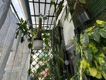 Hình ảnh Bán nhà XVNT P21 Bình Thạnh 30m2 4 phòng ngủ giá mềm