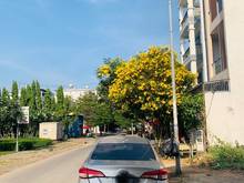 Hình ảnh Đất Trống ĐẶNG THUỲ TRÂM, Phường 13, Bình Thạnh 4,5x22 giá 10 tỷ TL