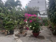 Hình ảnh Bán dãy trọ 1250m  Gò Vấp giáp Bình Thạnh, Phú Nhuận giá chỉ 22tr/m
