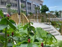 Hình ảnh Cho thuê Trang Chủ MB66.COM / Đăng Ký Tặng 66K cao cấp 2pn67m2 q7 riverside 7.2tr