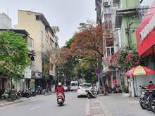 Hình ảnh Bán nhà mặt phố sơn tây, ba đình 73mxmt5m, vỉa hè, ô tô, kd 28.5 tỷ.