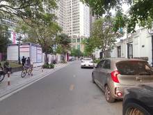Hình ảnh Cho thuê biệt thự nội khu Roman Palaza Tố Hữu
