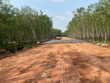 Hình ảnh BÁN NHANH đất mẫu 1,6ha Chỉ 6tỷ, kế bên KCN BECAMEX CHƠN THÀNH