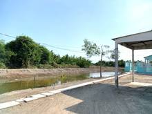 Hình ảnh Kẹt tiền bán gấp lô đất 886m2 tại xã Bình Khánh Cần Giờ, giá 1.5 tỷ