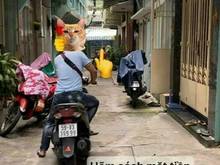 Hình ảnh Bán nhà HXH Cao Đạt 1 trệt, 2 lầu, sân thượng, 2PN, 2WC