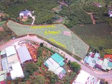 Hình ảnh Cho thuê 120m mặt tiền đường Lương Văn Can - Bảo Lộc