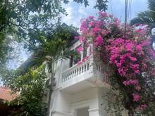 Hình ảnh Bán biệt thự 47 Phạm Ngọc Thạch - 8,6x20m trệt 3 lầu giá 80 tỷ