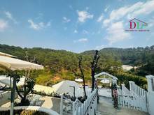Hình ảnh Bán khu đất lớn Hoàng Hoa Thám Đà Lạt view rừng thông