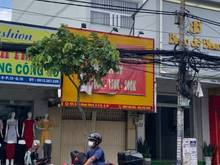 Hình ảnh Bán nhà HXH tránh kế Vincom, nở hậu. DT: 6,6x17m, khai thác dòng tiền