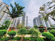 Hình ảnh Bán Trang Chủ MB66.COM / Đăng Ký Tặng 66K xã Bình Hưng huyện Bình Chánh. 80m2, giá 4 tỷ 057, tầng 3