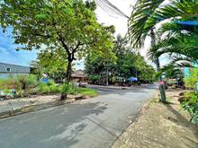 Hình ảnh Tìm đâu ra vị trí đất đẹp như Ngọc Trinh - 90m2 - gần Tô Ngọc Vân