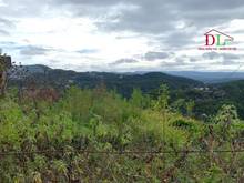 Hình ảnh Bán đất Ba Tháng Tư phường 3 Đà Lạt view thông đắc địa