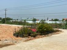 Hình ảnh [ HOT ] chỉ 1tỷxx = sở hữu ngay lô mặt tiền -Giá chỉ từ  6-7 triệu/m2
