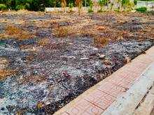 Hình ảnh bán đất 401m2 có thổ cư tại Xã Đồi 61, Trảng Bom mt 11m giá rẻ 1,3 tỷ