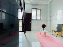 Hình ảnh Trống Phòng giá hạt dẻ có gác và k gác KV Tân Bình