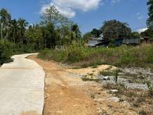 Hình ảnh Bán 1150m2 đất full hồng đường bê tông cách QL20