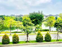 Hình ảnh Chuyên cho thuê nhà phố Lakeview city quận 2 Giỏ Hàng Đa Dạng