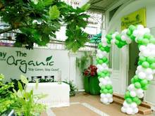 Hình ảnh 🏠🏠🏠Chính Chủ Cho Thuê Biệt Thự Phường Tân Định Quận 1