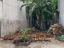 Hình ảnh - Bán đất khu phú mỹ chợ lớn, phường phú mỹ, Quận 7.