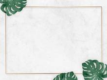 Hình ảnh Cho thuê nhà chung cư cũ mặt tiền giá cả hợp lý