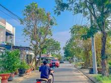 Hình ảnh Chính chủ bán lô đất đẹp đường Nguyễn Bảo