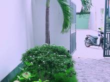 Hình ảnh Cho thuê nhà sân vườn 2PN đầy đủ nội thất gần biển khu An Thượng
