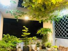 Hình ảnh Cho thuê nhà nguyên căn khu tên lửa fun nội thất