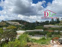 Hình ảnh Bán đất mặt tiền Ankoret phường 7 Đà Lạt view đẹp