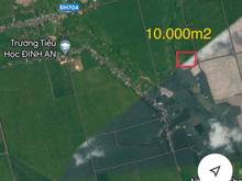 Hình ảnh 10.000m2Đất Mb6666 game giải trí miễn phí, nhiều cao lanh, đang trông tràm tại Dầu Tiếng