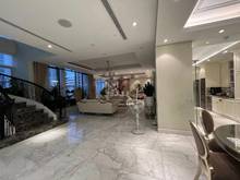 Hình ảnh Bán Penthouse SUNRISE SOUTH TOWERS, TÂN HƯNG, QUẬN 7 - 532m2