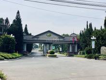 Hình ảnh Sở hữu ngày lô đất nền tại sân bay Long Thành giá chỉ từ 10triệu/m2