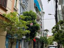 Hình ảnh Bán nhà PHÂN LÔ VIP ngõ 19 phố LẠC TRUNG, Ô TÔ TRÁNH, văn phòng, 67m2