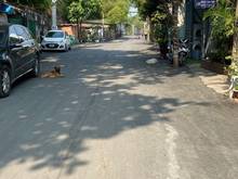 Hình ảnh Dương Đình Hội, Tăng Nhơn Phú B, Thủ Đức, Nhà C4, 55m2