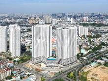 Hình ảnh Cho thuê nhiều shophouse ở Sunrise City View