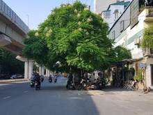 Hình ảnh Nhà phố Hào Nam 45m2, MT: 4m, gần Ô TÔ, Kinh doanh, nhỉnh 5 tỷ.