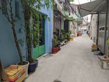 Hình ảnh ◉◡◉ Đất Hiếm. 656// Quang Trung.GV. 29m=3.1 TỶ