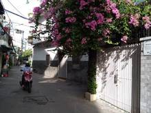 Hình ảnh Cho thuê nhà HXH Nguyễn Đình Chiểu, Q3, 6 phòng ngủ, 6WC, giá 26 triệu