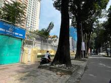 Hình ảnh Cho Thuê Nhà Đẹp Nguyễn Đình Chiểu Quận 3