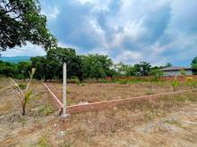 Hình ảnh 1 sào Đất vườn Sổ sẵn, đang trồng điều, View núi Gia Lào, Gần ĐT763