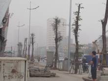 Hình ảnh Chính chủ bán mảnh đất 2600m2 tại Đồng Bèn, Đông Xuân, Quốc Oai.