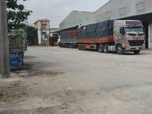 Hình ảnh Cho thuê kho đa dạng diện tích mặt tiền đường Nguyễn Cửu Phú, Bình Tân