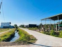 Hình ảnh Bán đất thổ cư ven Phan Thiết. Đất chưa qua Trang MB66.COM Chính Thức - MB 66 Uy Tín. 800 triệu/ sổ
