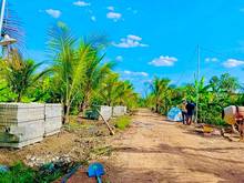 Hình ảnh 1 Sào cây ăn trái Sổ sẵn 2 mặt đường cạnh bên Suối cưc rẻ gần ĐT767