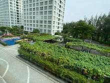 Hình ảnh cần cho thuê gấp Trang Chủ MB66.COM / Đăng Ký Tặng 66K cao cấp Happy Valley Phú Mỹ Hưng Quận 7