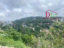 Hình ảnh Bán đất Đặng Thái Thân, Phường 3 Đà Lạt view thung lũng vĩnh viễn