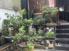 Hình ảnh Cho thuê nhà biệt thự Yên Thế Tân Bình DT 11mx20m 3T giá 59 triệu TL