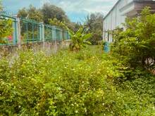 Hình ảnh 165m2 đất Cách QL 22 Chưa đến 3 bước chân, Tân Thông Hội. Giá 2,5 tỷ